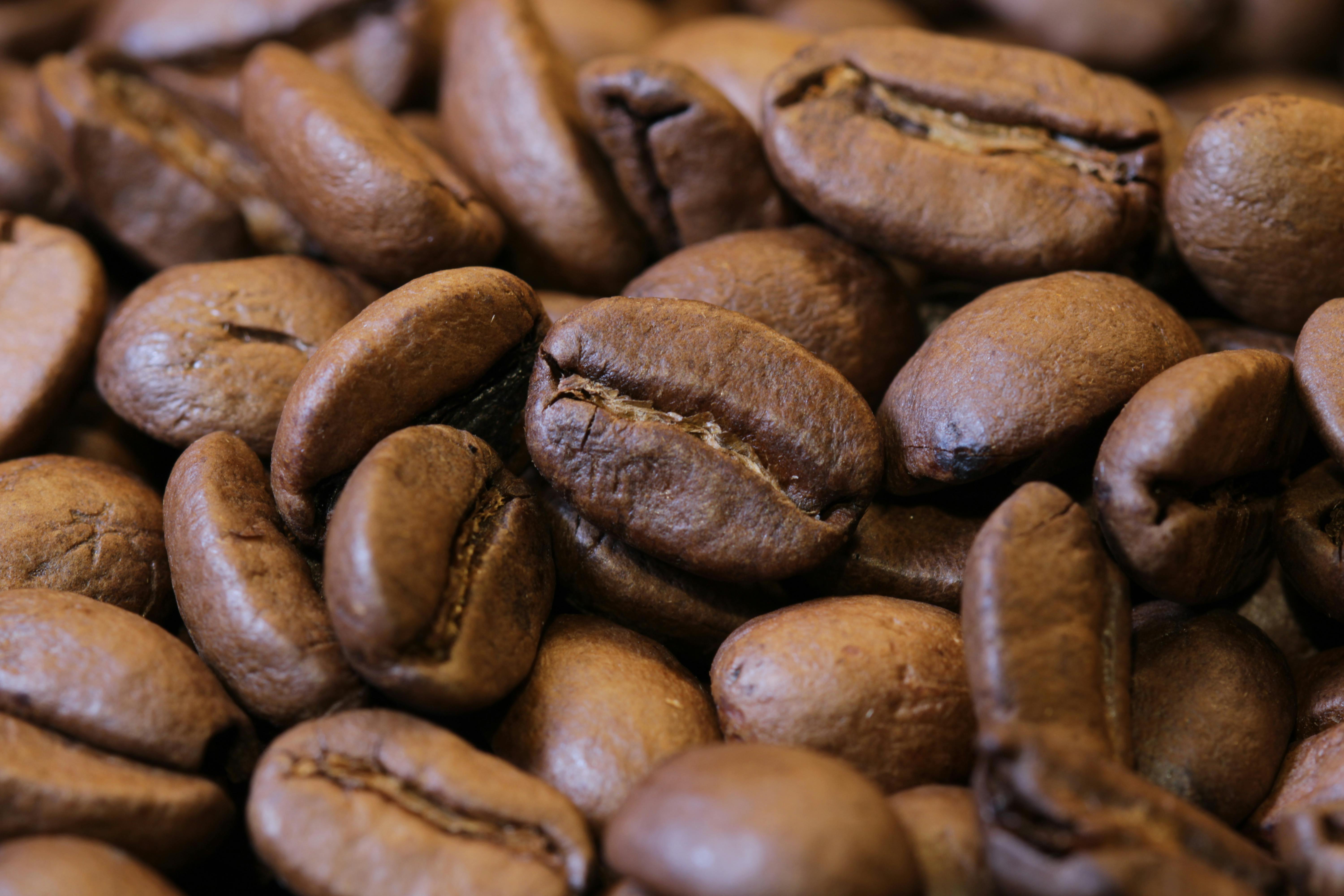 High-quality raw blend coffee beans